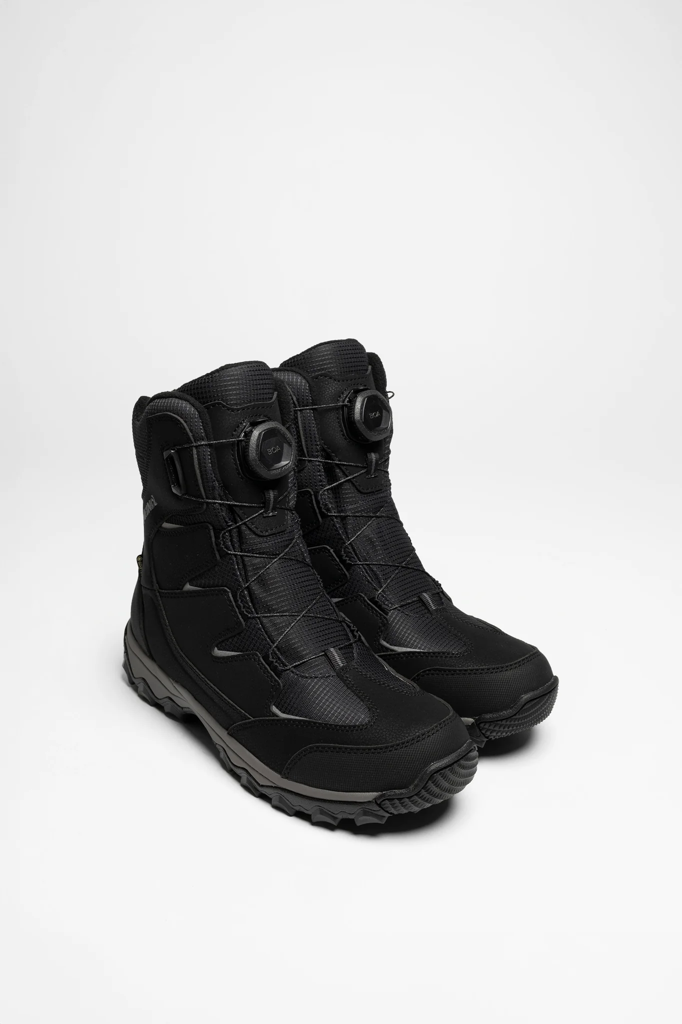 Edmonton GTX (Boa) Herren Schwarz