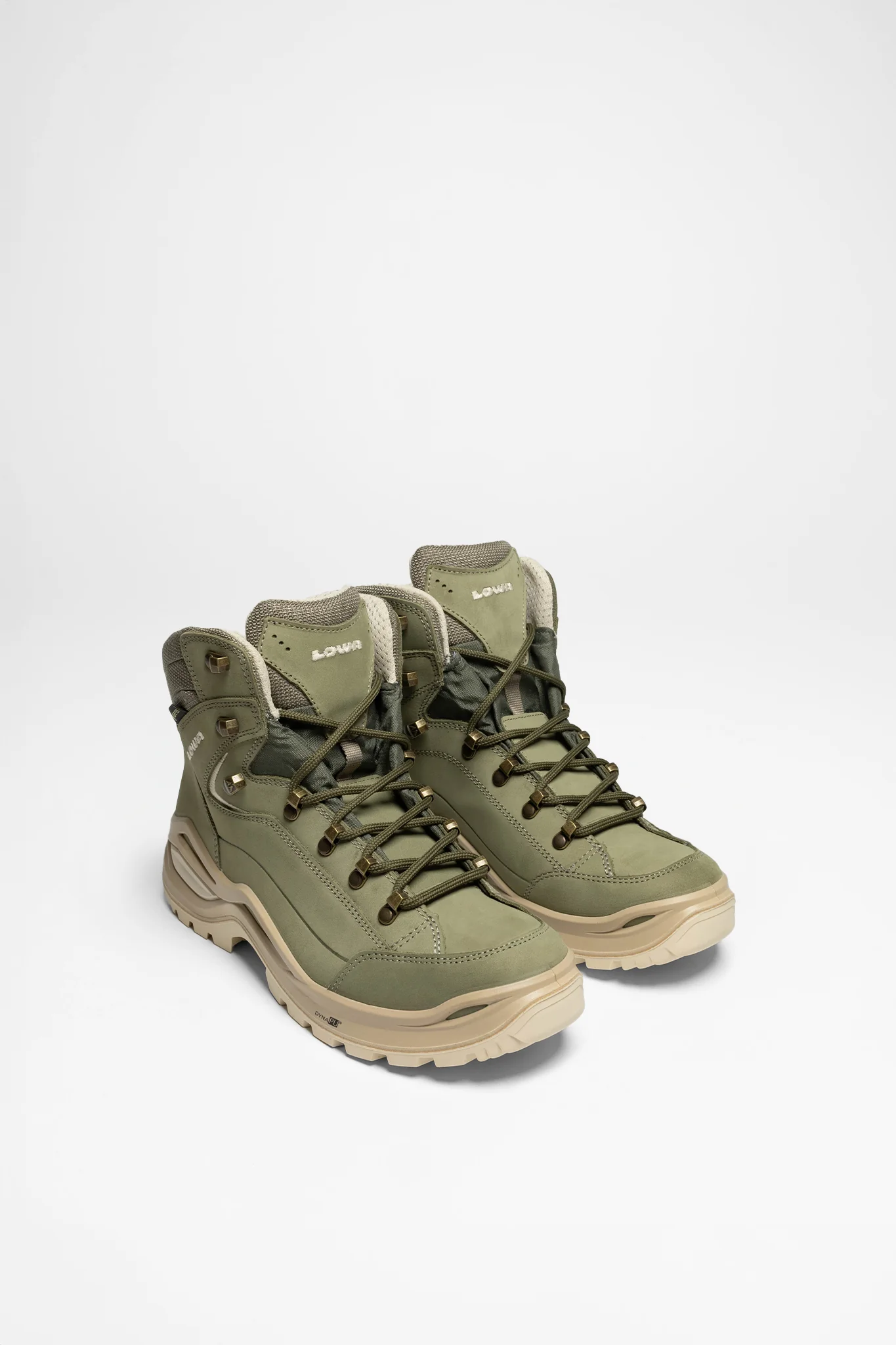 Renegade Evo GTX Mid Ws Damen (Sage)