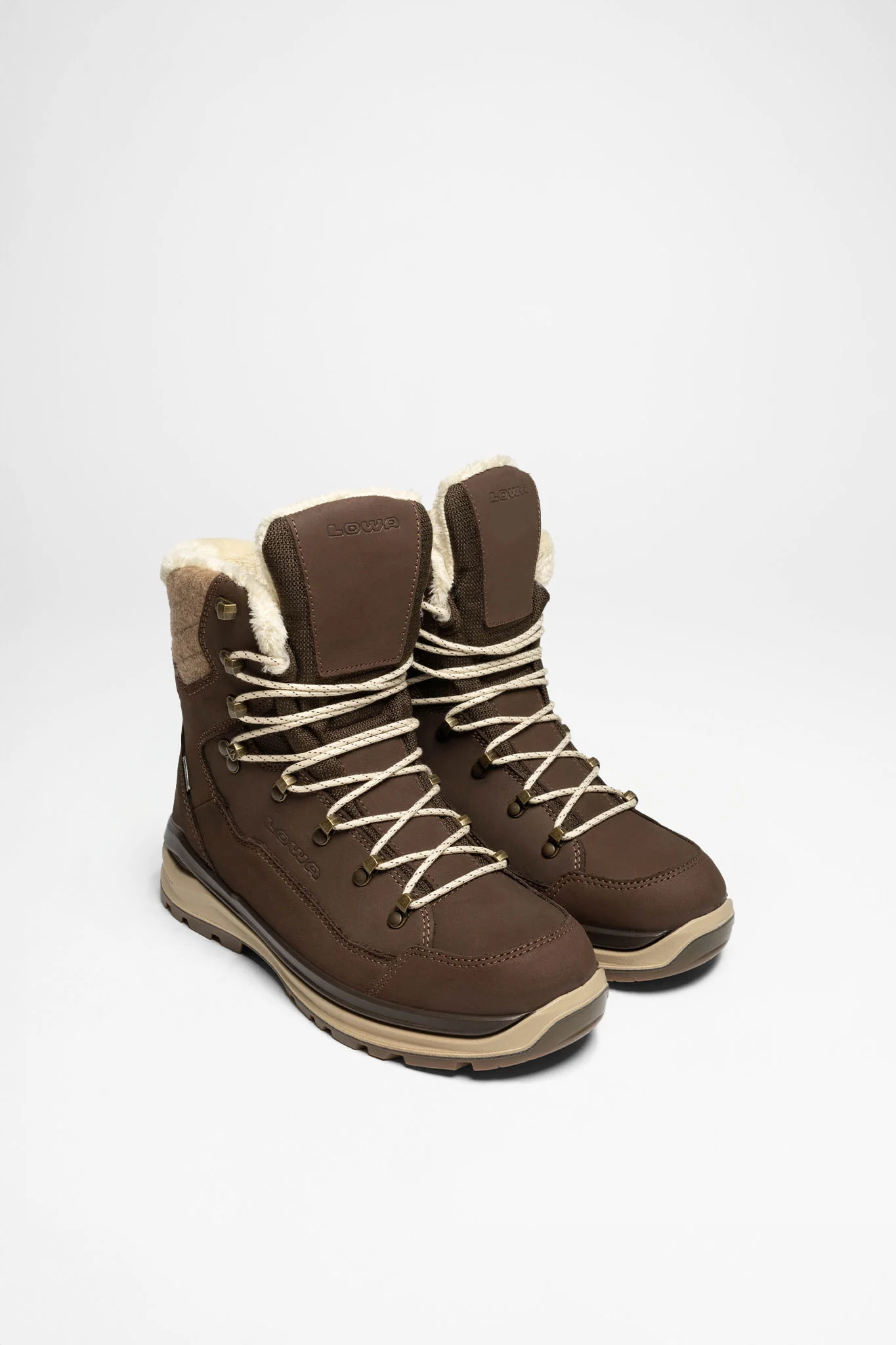 Renegade Evo Ice 2 GTX Ws Damen (Braun/Sand)
